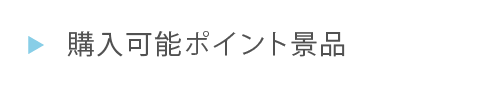 ED90購入可能ポイント景品