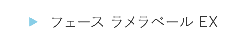 HOGA0413フェース ラメラベールEX
