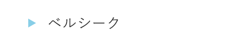 HOGA0435ベルシーク