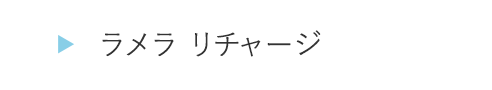 HOEG14ラメラ リチャージ