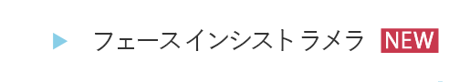 HOEG31フェース インシスト ラメラ