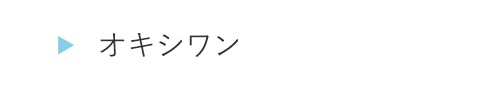 HOEG43オキシワン