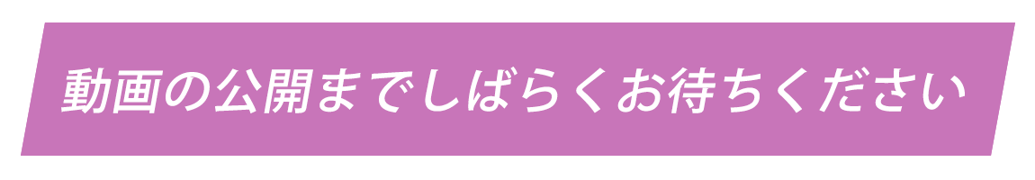 動画の公開までしばらくお待ちください